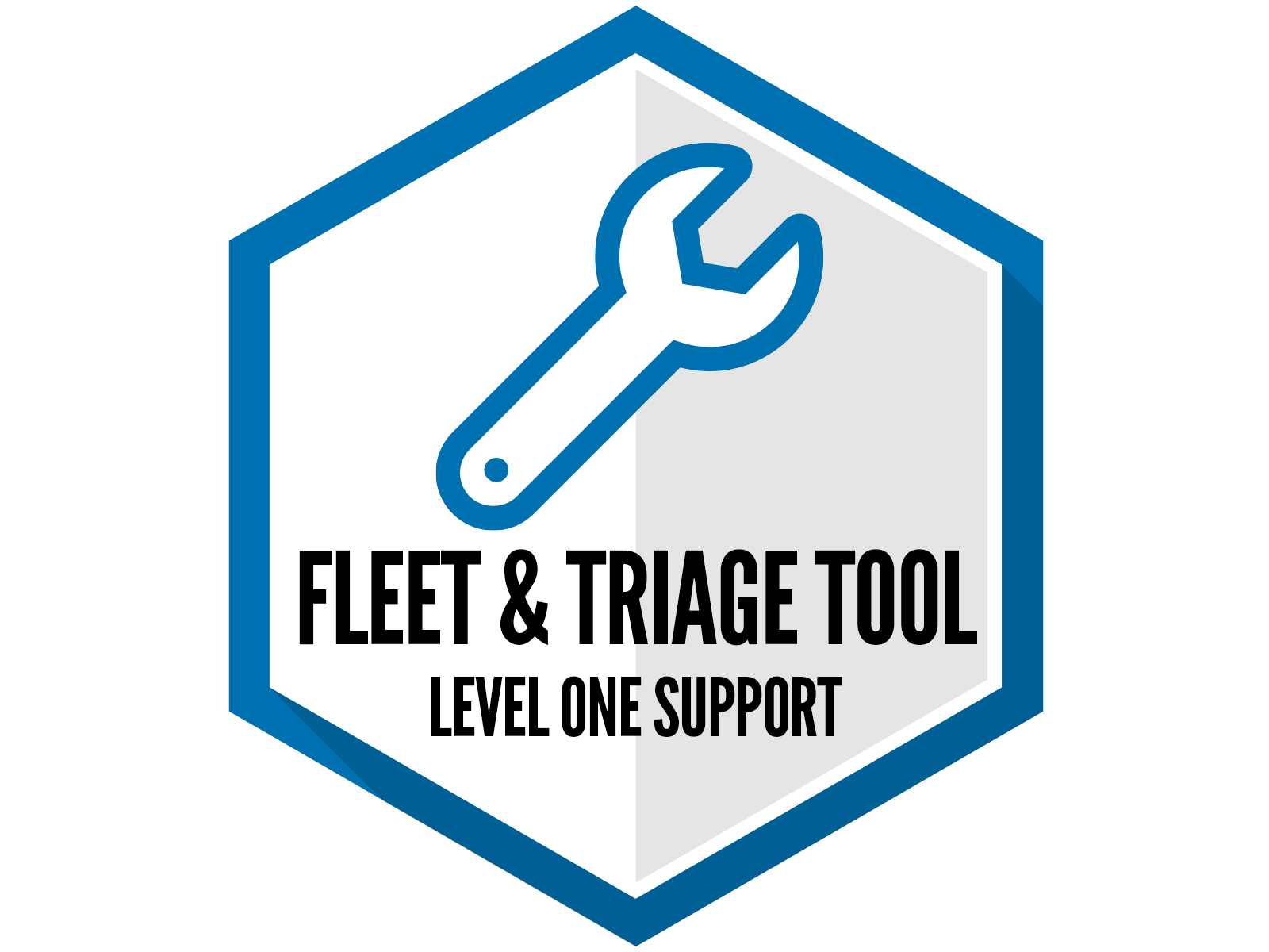 Fleet and Triage Support - Level 1 (Basic)
