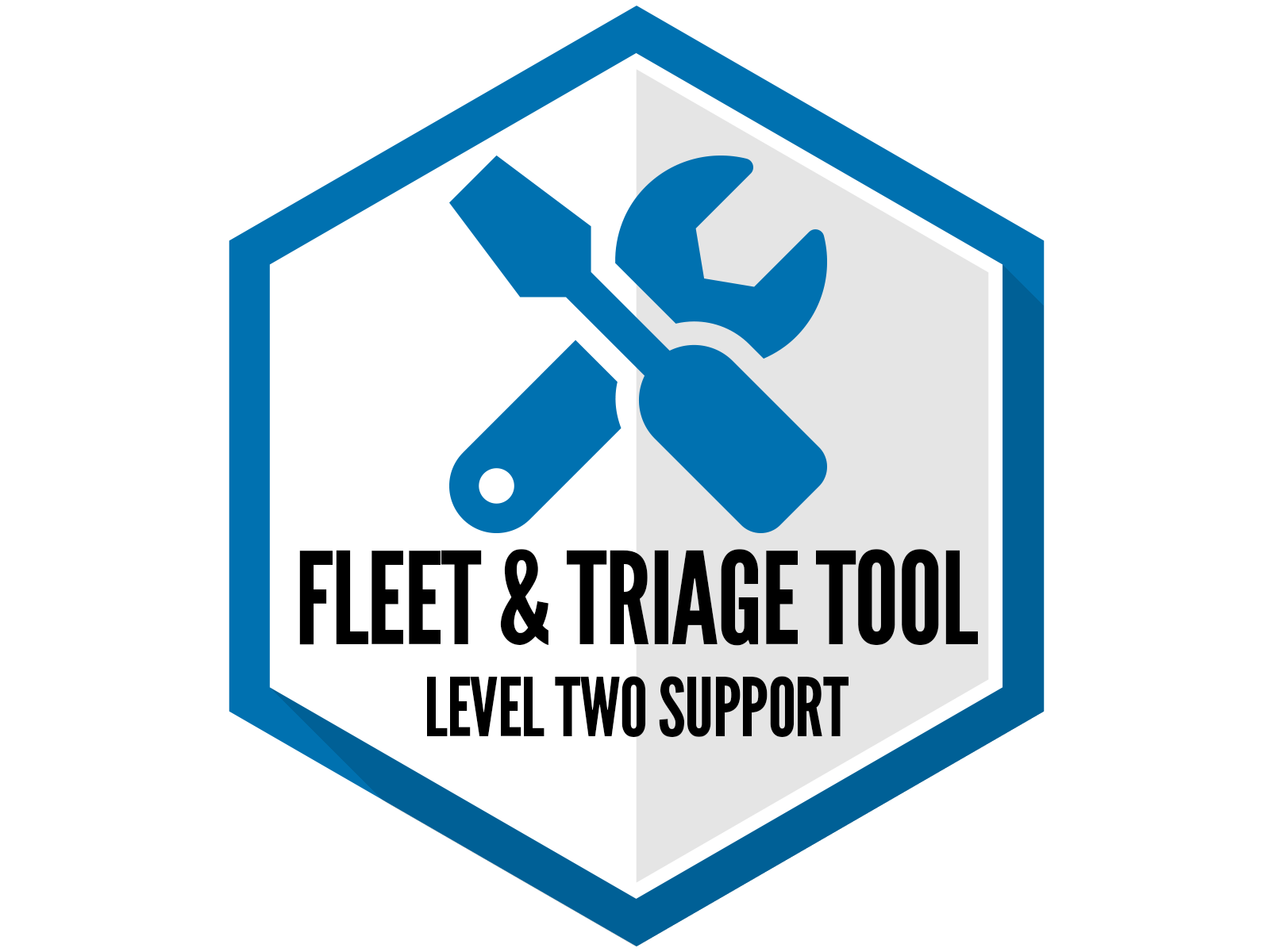 Fleet and Triage Support - Level 2 (Standard)