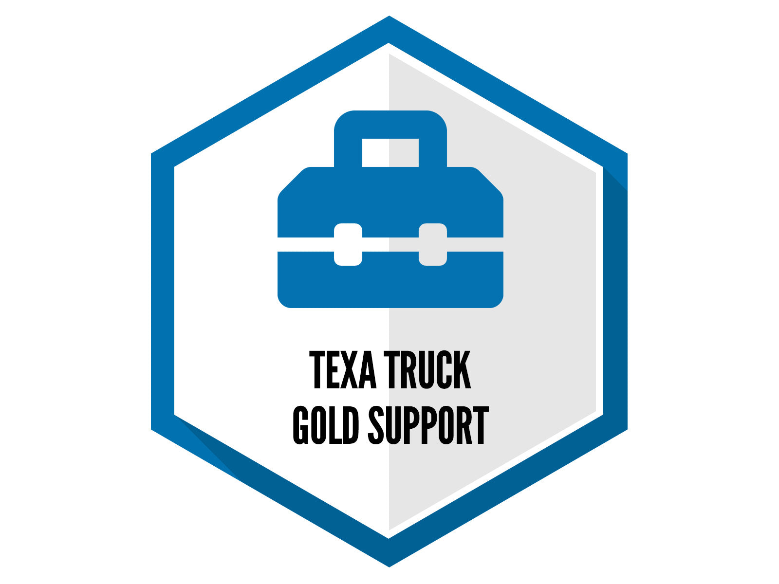 TEXA Truck Support - Gold